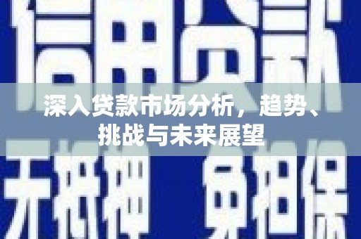理县深入贷款市场分析，趋势、挑战与未来展望