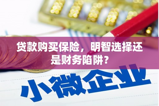 理县贷款购买保险，明智选择还是财务陷阱？