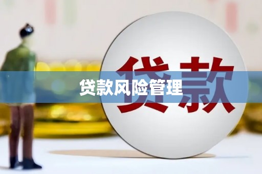 理县贷款风险管理