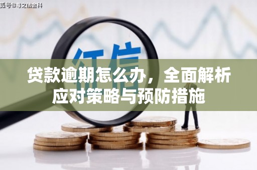 理县贷款逾期怎么办，全面解析应对策略与预防措施