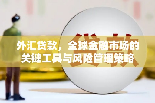理县外汇贷款，全球金融市场的关键工具与风险管理策略