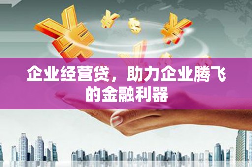理县企业经营贷，助力企业腾飞的金融利器