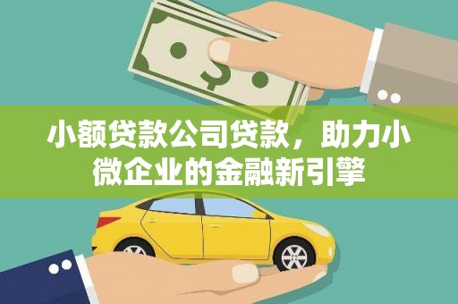 理县小额贷款公司贷款，助力小微企业的金融新引擎