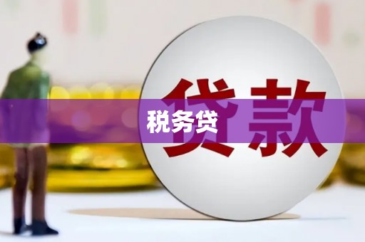 理县税务贷