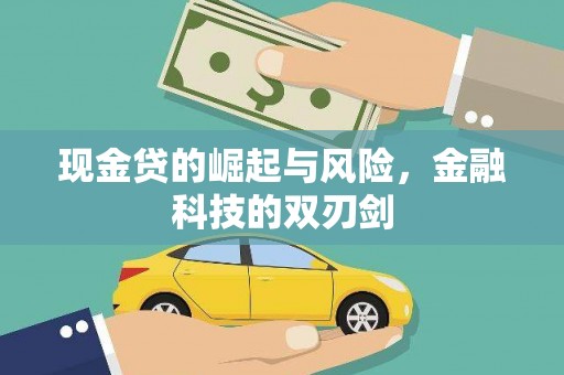 理县现金贷的崛起与风险，金融科技的双刃剑