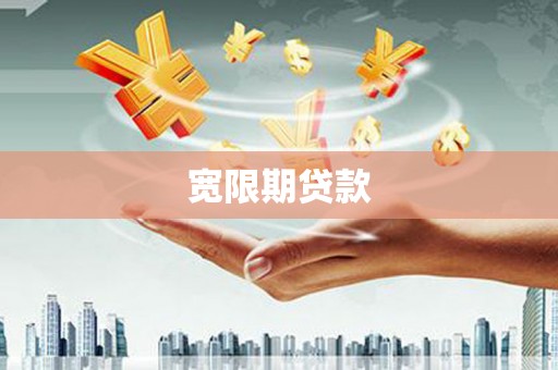 理县宽限期贷款