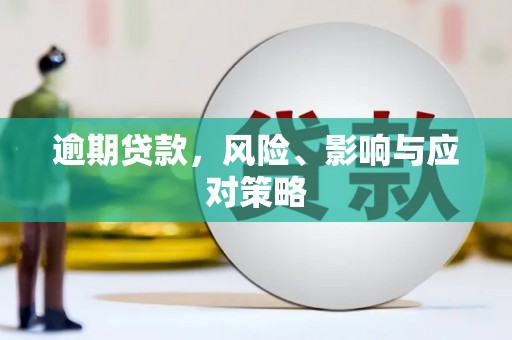 理县逾期贷款，风险、影响与应对策略