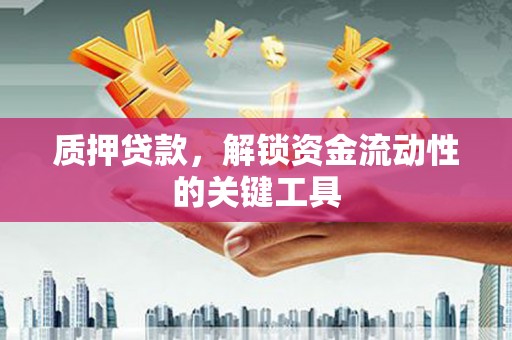理县质押贷款，解锁资金流动性的关键工具