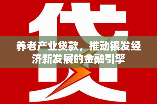 理县养老产业贷款，推动银发经济新发展的金融引擎