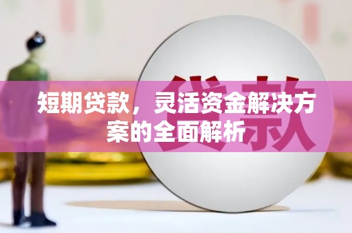 理县短期贷款，灵活资金解决方案的全面解析