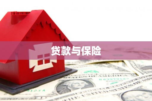 理县贷款与保险