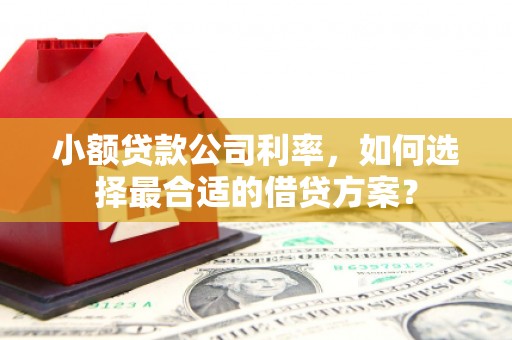 理县小额贷款公司利率，如何选择最合适的借贷方案？