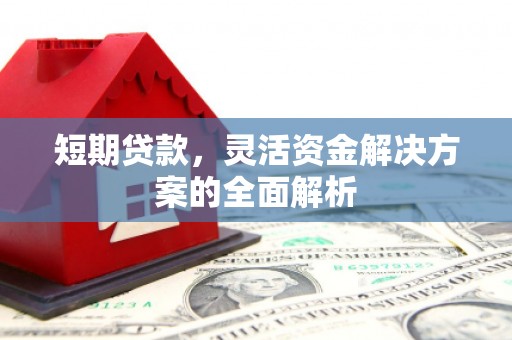 理县短期贷款，灵活资金解决方案的全面解析