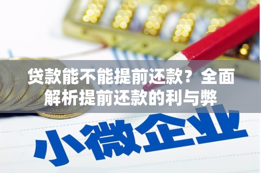 理县贷款能不能提前还款？全面解析提前还款的利与弊