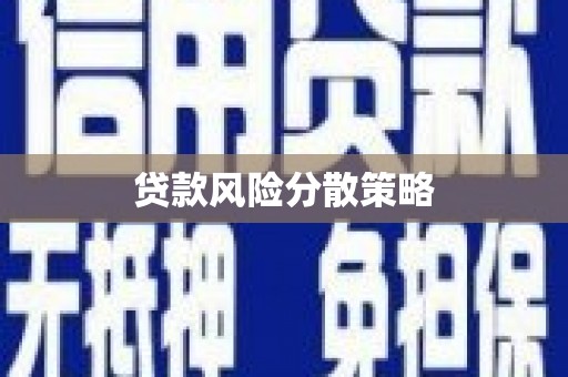 理县贷款风险分散策略