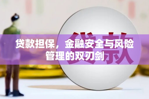 理县贷款担保，金融安全与风险管理的双刃剑