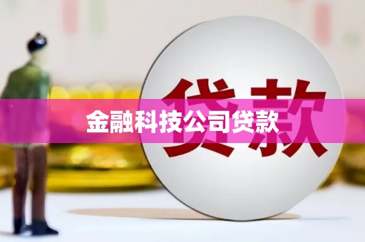 理县金融科技公司贷款