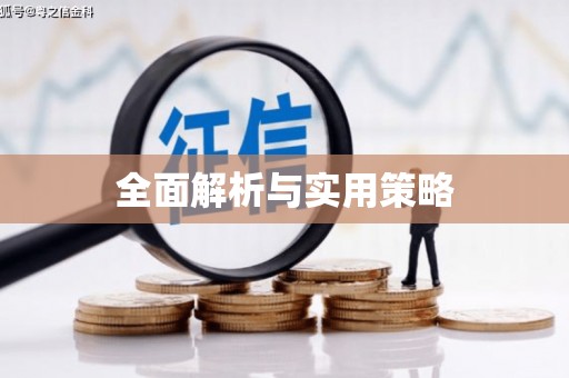 理县全面解析与实用策略