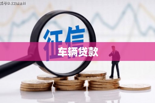 理县车辆贷款