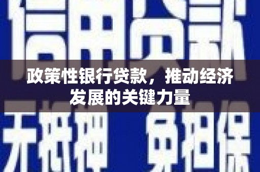 理县政策性银行贷款，推动经济发展的关键力量