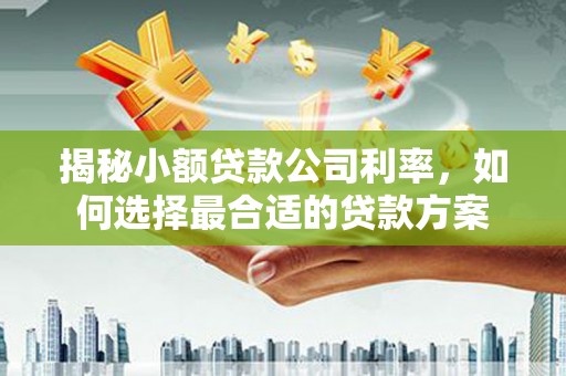 理县揭秘小额贷款公司利率，如何选择最合适的贷款方案