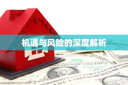 理县机遇与风险的深度解析