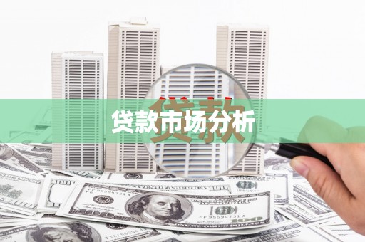 理县贷款市场分析
