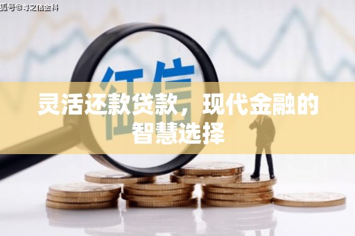 理县灵活还款贷款，现代金融的智慧选择