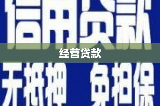 理县经营贷款