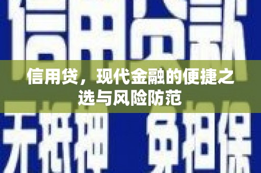 理县信用贷，现代金融的便捷之选与风险防范