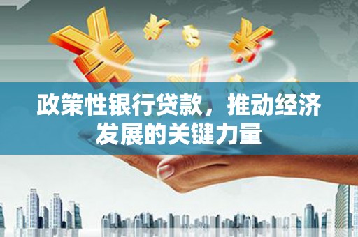 理县政策性银行贷款，推动经济发展的关键力量