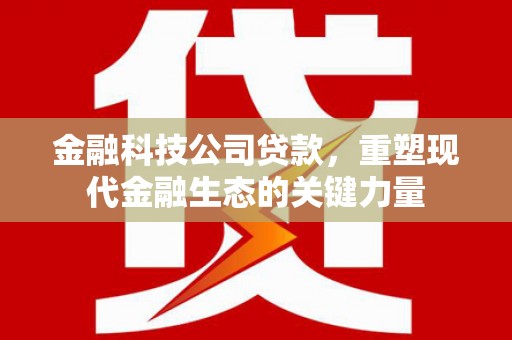 理县金融科技公司贷款，重塑现代金融生态的关键力量