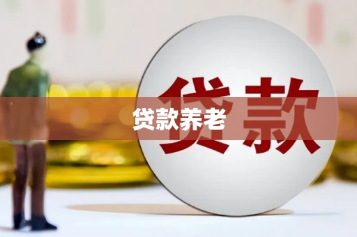 理县贷款养老