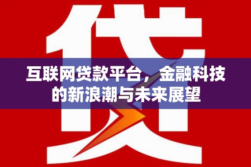 理县互联网贷款平台，金融科技的新浪潮与未来展望