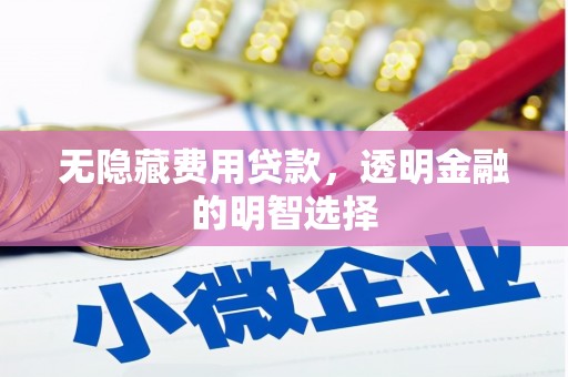 理县无隐藏费用贷款，透明金融的明智选择