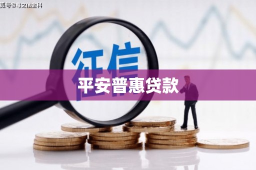 理县平安普惠贷款