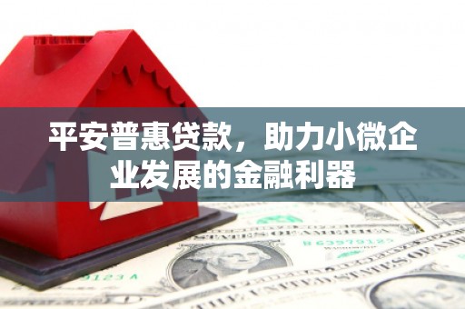 理县平安普惠贷款，助力小微企业发展的金融利器