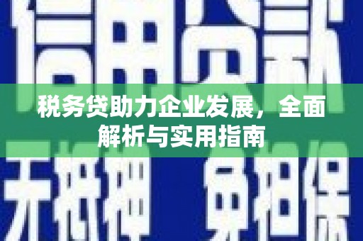 理县税务贷助力企业发展，全面解析与实用指南