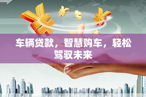 理县车辆贷款，智慧购车，轻松驾驭未来