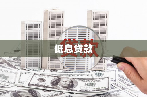 理县低息贷款