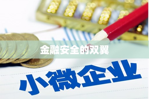理县金融安全的双翼