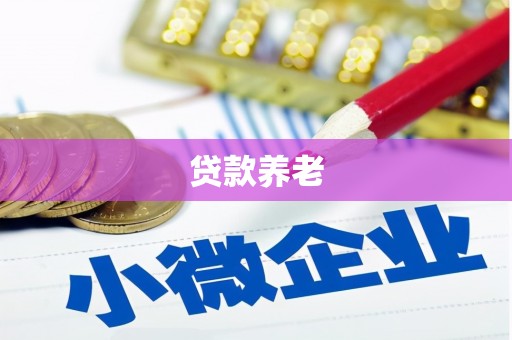 理县贷款养老
