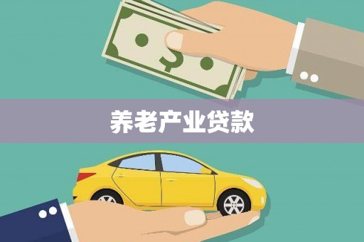 理县养老产业贷款