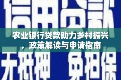 理县农业银行贷款助力乡村振兴，政策解读与申请指南