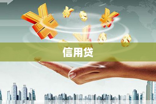 理县信用贷