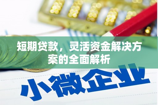理县短期贷款，灵活资金解决方案的全面解析