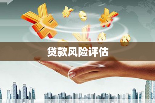 理县贷款风险评估