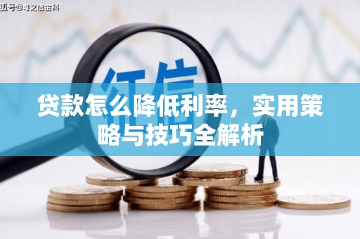 理县贷款怎么降低利率，实用策略与技巧全解析
