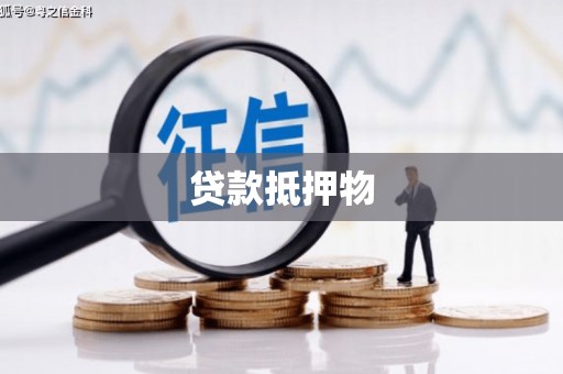 理县贷款抵押物