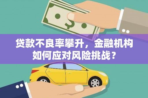 理县贷款不良率攀升，金融机构如何应对风险挑战？